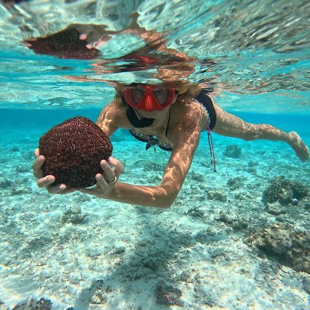 Adroit Beach Inn Guraidhoo  Ngoại thất bức ảnh