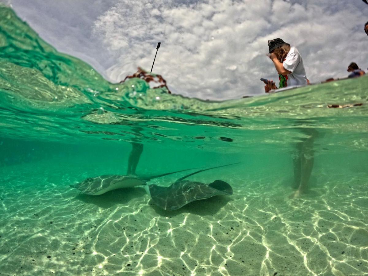 Adroit Beach Inn Guraidhoo  Ngoại thất bức ảnh