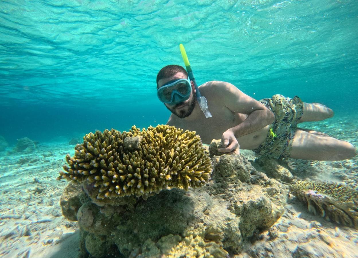 Adroit Beach Inn Guraidhoo  Ngoại thất bức ảnh