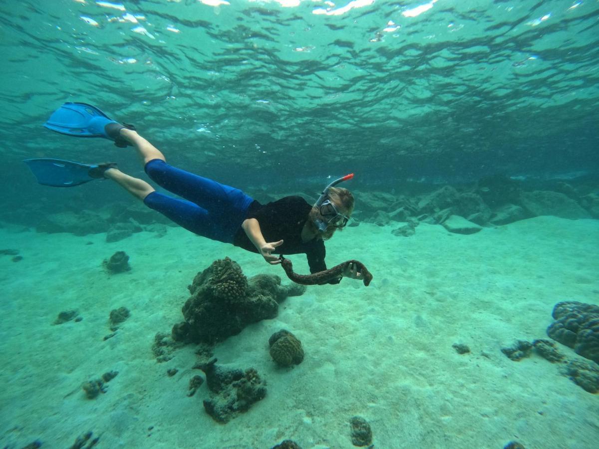 Adroit Beach Inn Guraidhoo  Ngoại thất bức ảnh